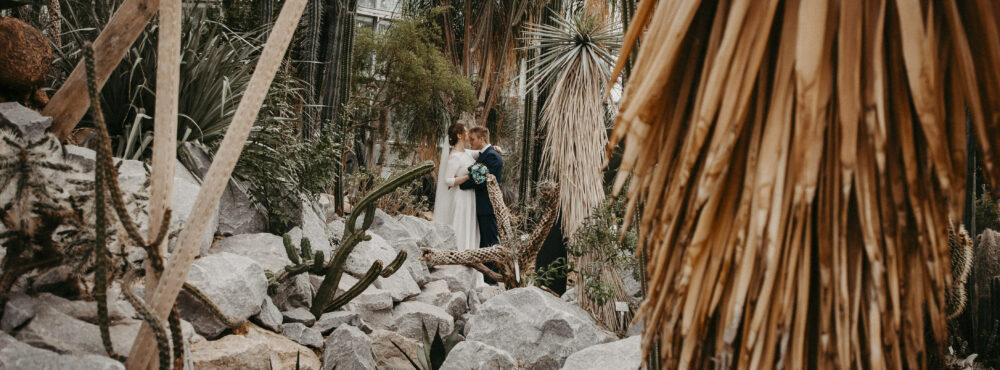 info@jonathan-meschke.de