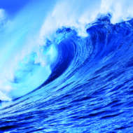 BlueWave DJs & Events 